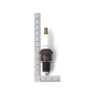Bougie d'allumage F7RTC 21 pour Scheppach