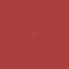 Aérosol peinture acrylique 400ml rouge feu