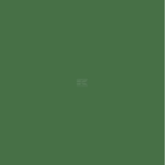 Aérosol peinture acrylique 400ml vert émeraude
