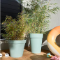 Pot toscane D.48cm 43l vert laurier
