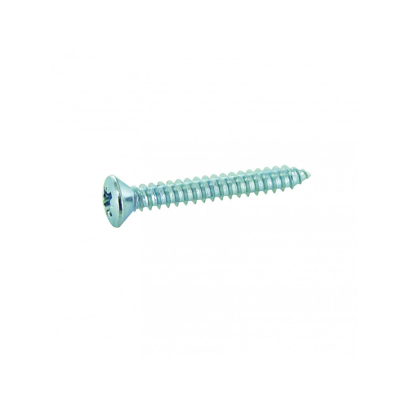Vis tôle tête fraisée bombée acier zingué 4.8x19mm x12