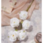 Fleurs 5 pièces rose blanche