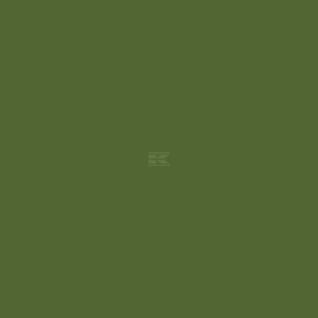 Aérosol peinture acrylique 400ml amazone vert