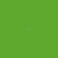Aérosol peinture acrylique 400ml fendt vert nature
