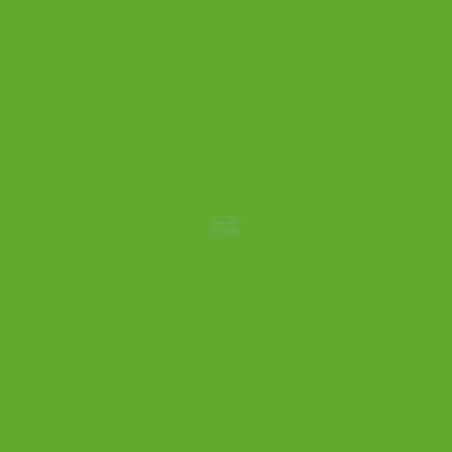 Aérosol peinture acrylique 400ml fendt vert nature