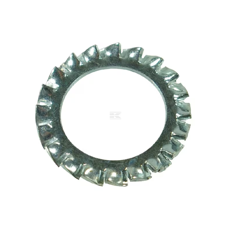 Rondelle éventail plate M8 x 15mm