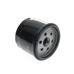Filtre à huile autoportée Vanguard 492932s
