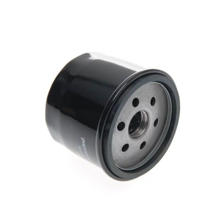 Filtre à huile autoportée Vanguard 492932s