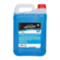 Lave glace été 5l Cogex