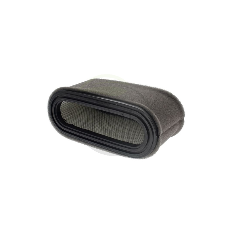 Filtre à air autoportée RT4097.1SX (B2446496)