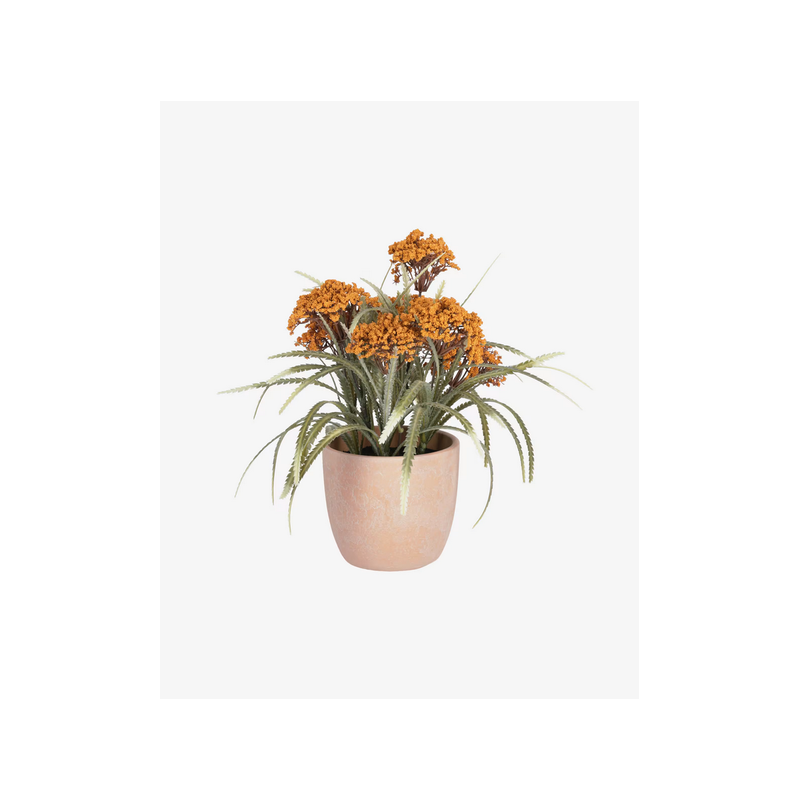 Plante artificielle leonitis 29cm en pot