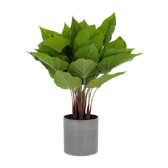 Plante artificielle anthurium 50cm en pot