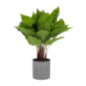 Plante artificielle anthurium 50cm en pot