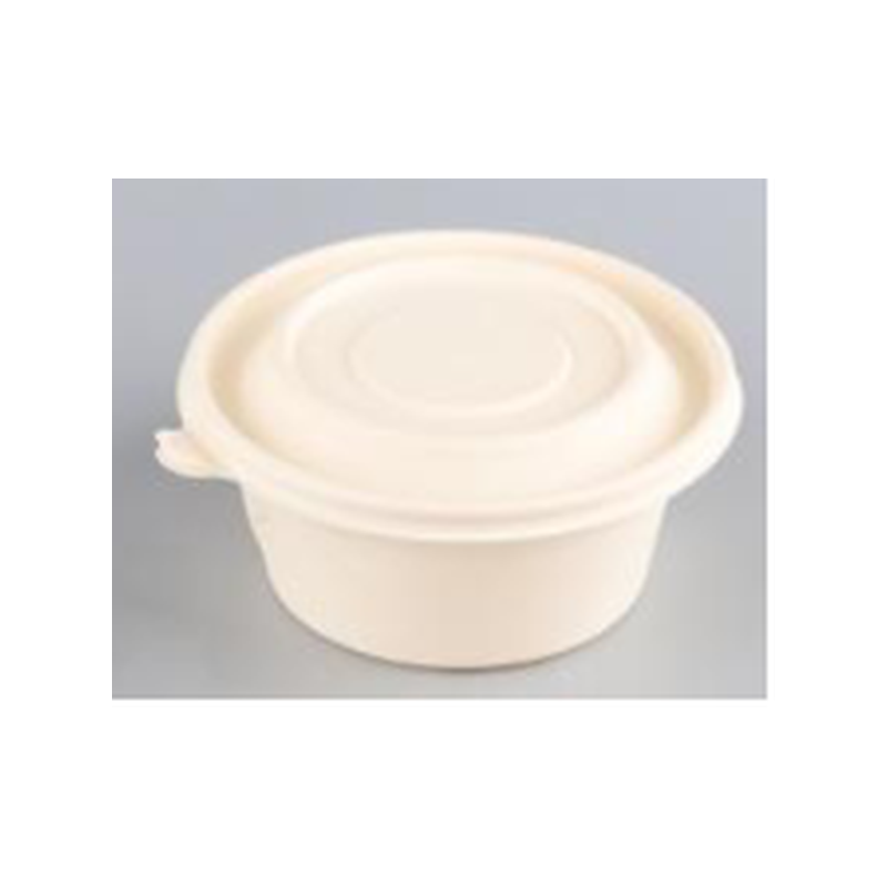 Barquette recyclable 500ml 24g x50