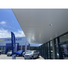 Lambris pvc blanc 150x10mm 6m