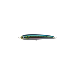Maria rapido f160 50g b04c