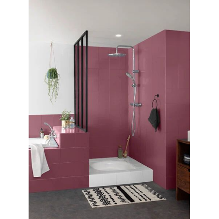 Peinture salle de bain 2L satin prune
