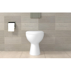 Cheville sanitaire + vis 8x80mm x2