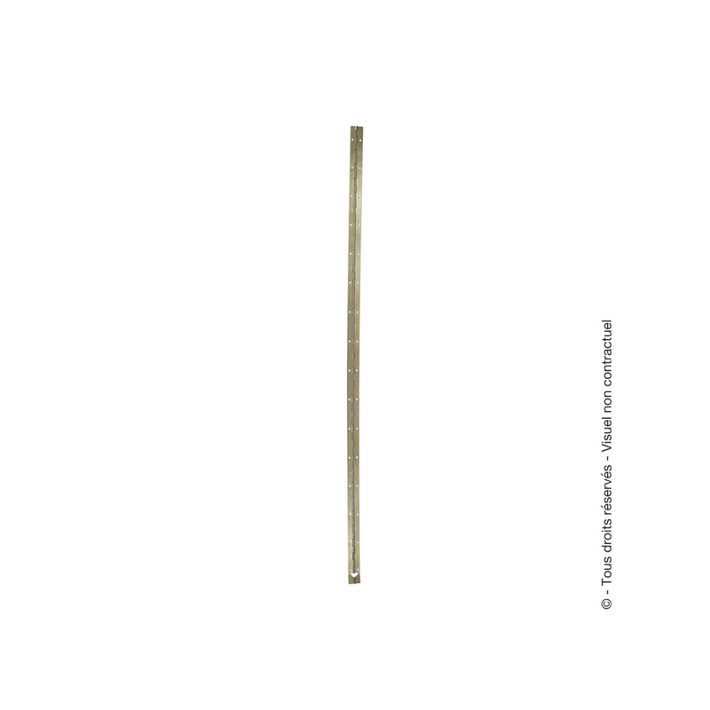 Charnière à piano laitonné 1980x40mm