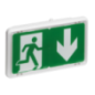 Baes evacuation led standard
