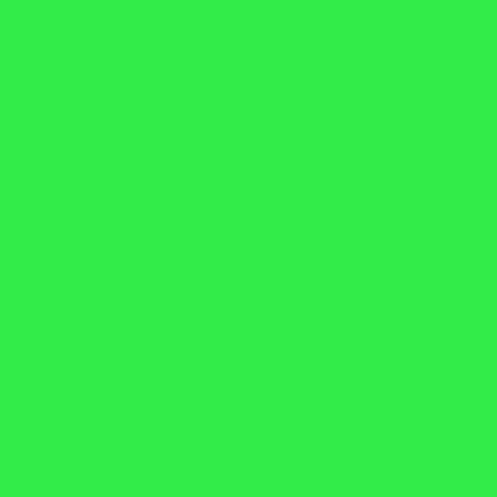 Aerosol marquage permanent vert fluo 0.5l