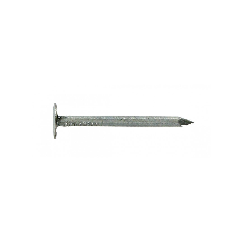Pointe tête plate large galvanisée 2.7x30mm 340g