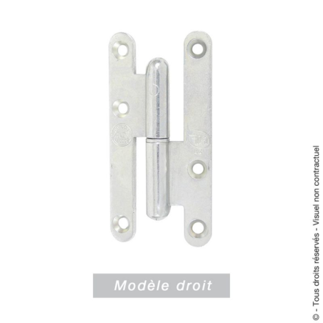 Paumelle de Paris bouts ronds acier zingué 80x40mm droite