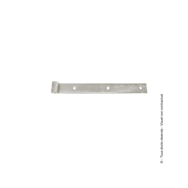 Penture droite forte acier zingué blanc D.14mm 50cm