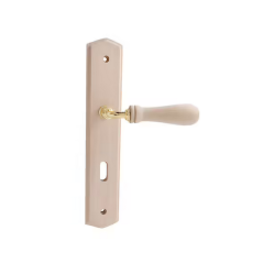 Poignee de porte à clé I bois mahe