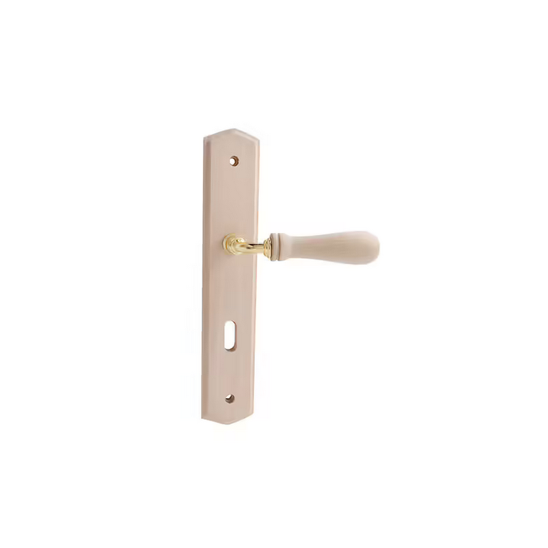 Poignee de porte à clé I bois mahe