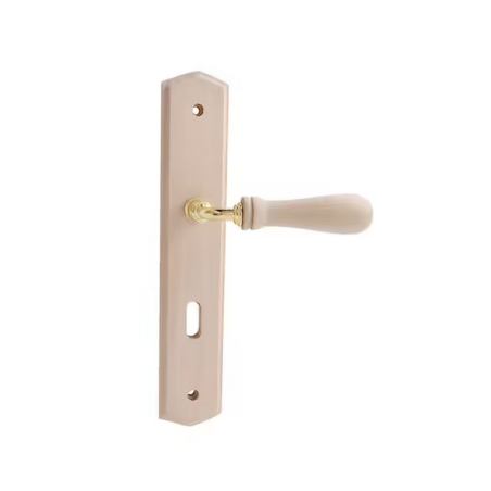 Poignee de porte à clé I bois mahe