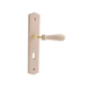 Poignee de porte à clé I bois mahe
