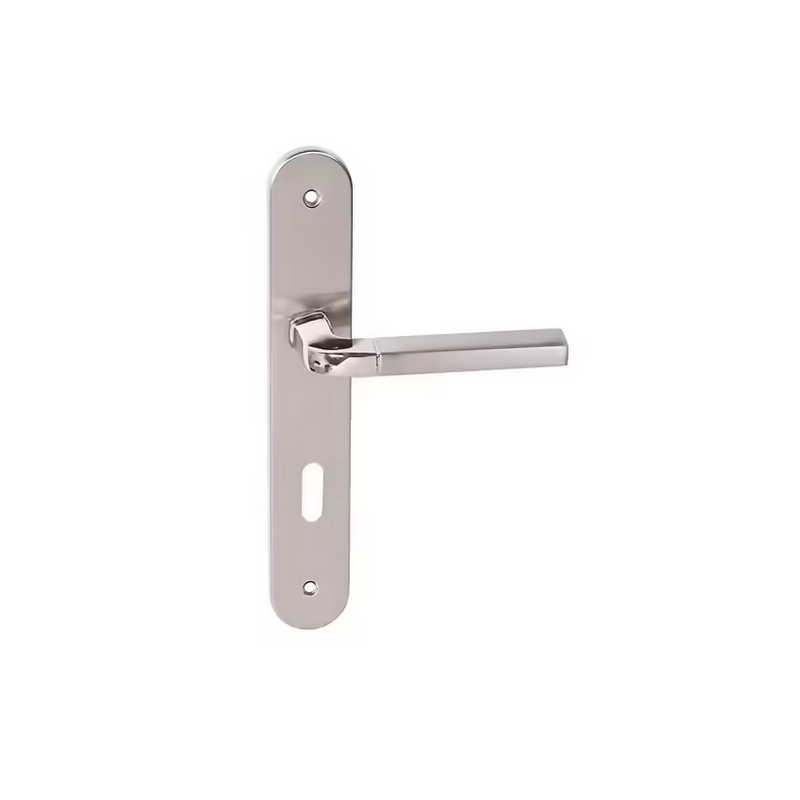 Poignee de porte à clé I iris acier alu.