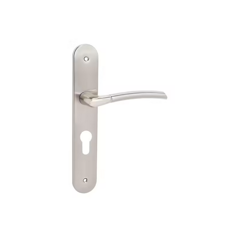 Poignee de porte à clé I zoe acier alu.