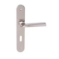 Poignee de porte à clé L iris acier alu.