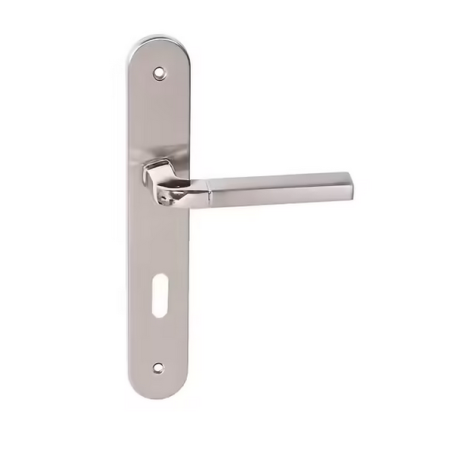 Poignee de porte à clé L iris acier alu.