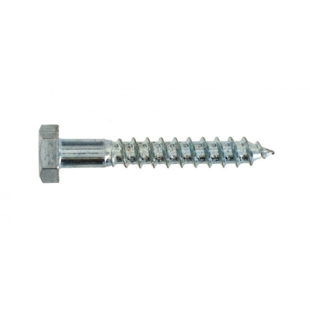 Tirefond tête hexagonale acier zingué 6x30mm x6