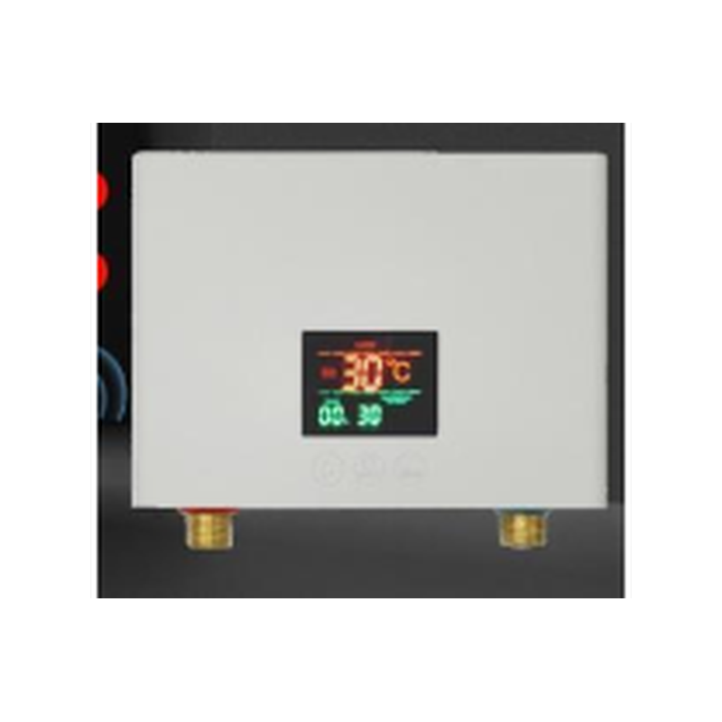Chauffe eau électrique 3000W 50-60Hz 220v