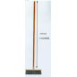 Balai brosse 30cm 110cm