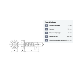 Vis autoforeuse / autoperceuse tête hexagonale acier zingué 6.3x100mm x100