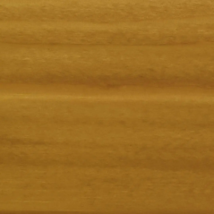 Lasure protection classique 5L satin chêne doré