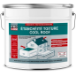 Peinture toiture étanchéité + réfléchissante 10L Blanc