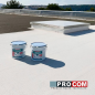 Peinture toiture étanchéité + réfléchissante 10L Blanc