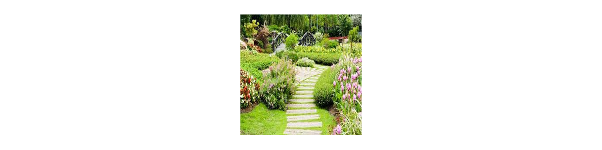 Jardin