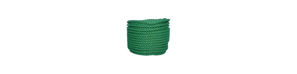 Polypropylène