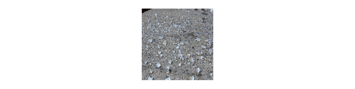Béton