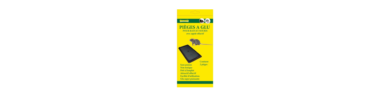 Piège Glu