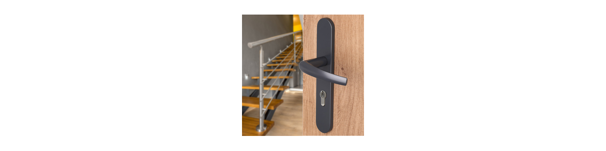 Poignée De Porte