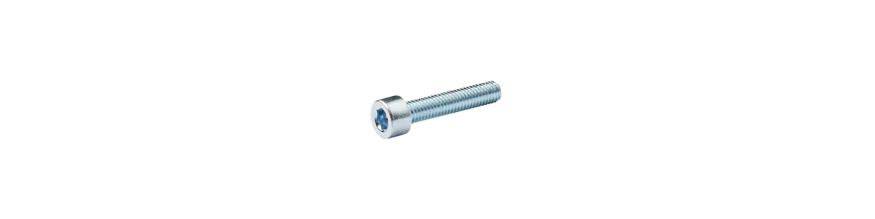 Tête Cylindrique