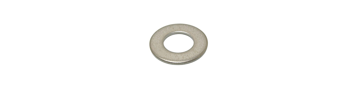 Plate Moyenne